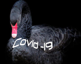 El «cisne negro» y el coronavirus
