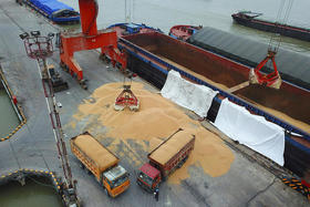 Soja importada en un puerto en Nantong, China. Las últimas declaraciones de intentar un alza de aranceles por parte de China tienen la intención de emitir una advertencia que los productores y consumidores estadounidenses pagarían en una guerra comercial