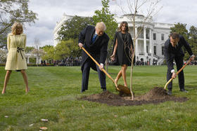 El presidente estadounidense Donald Trump y su par francés Emmanuel Macron plantan un árbol acompañados por sus esposas, el 23 de abril de 2018 en la Casa Blanca