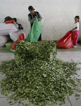 Una mujer y una niña junto a fardos de coca en Bolivia