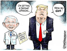 Dr. Fauci, presidente Trump, caricatura