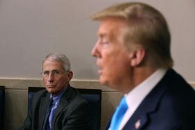 Fauci y Trump