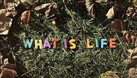 George Harrison, «What Is Life», vídeo oficial