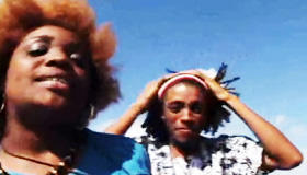 Los pelos