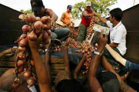 Feria agropecuaria en La Habana: Algo más de comida y menos libertad