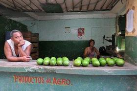 Vendedor de productos en agromercado