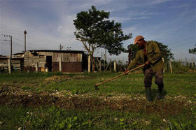 Campesino en una finca en la periferia de La Habana, el 17 de septiembre de 2008
