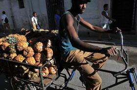 Un hombre conduce una bicicleta cargada de piñas en La Habana, un día después de que se publicara la versión final del plan de ajustes económicos que aprobó el VI Congreso del Partido Comunista de Cuba, el 10 de mayo de 2011