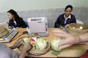 Un 'mercado libre estatal' en Santiago de Cuba. (AFP)