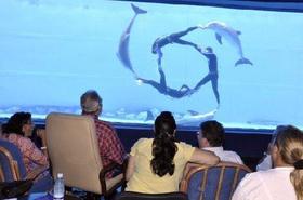 Fidel Castro asiste con el periodista Jeffrey Goldberg y la académica Julia Sweig a un espectáculo de delfines en el Acuario Nacional de Cuba