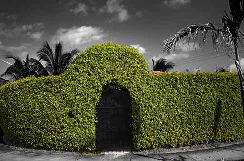 Black door. Black door.